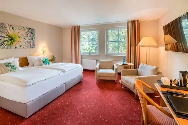 Superior Tek Kişilik Oda, 1 En Büyük (King) Boy Yatak, Sigara İçilmez