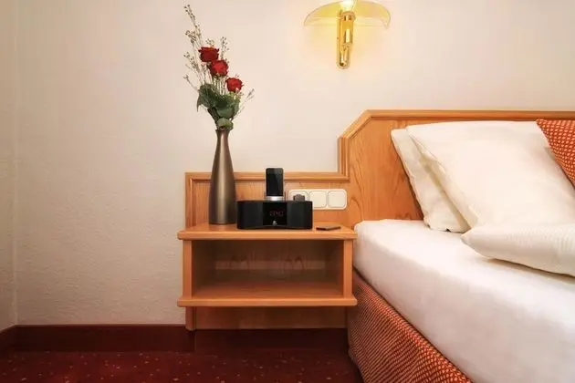 Superior Tek Kişilik Oda, 1 En Büyük (King) Boy Yatak, Sigara İçilmez