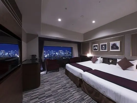Luxury İki Ayrı Yataklı Oda, Sigara İçilmez, Şehir Manzaralı (26-28F)