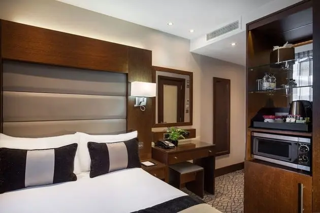 Deluxe Tek Büyük Yataklı Oda