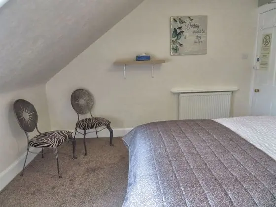 Tek Büyük Yataklı Oda, Banyolu/Duşlu (Room 4)