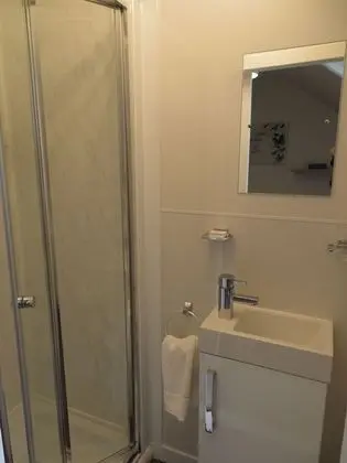 Tek Büyük Yataklı Oda, Banyolu/Duşlu (Room 4)