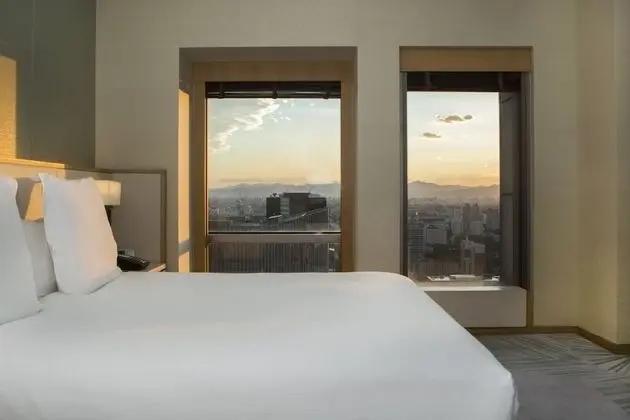 Deluxe Oda, 1 En Büyük (King) Boy Yatak (CBD Tower View)