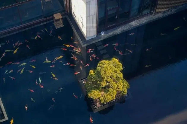 Oda, 1 En Büyük (King) Boy Yatak, Bahçe Manzaralı