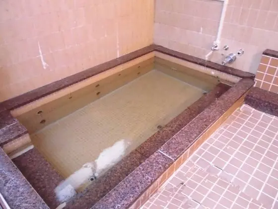 Economy Tek Kişilik Oda, Japon Şiltesi, Ortak Banyo (With Air Conditioning)