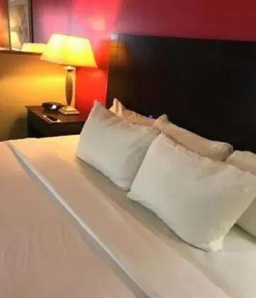 Standard Tek Kişilik Oda, 1 En Büyük (King) Boy Yatak, Sigara İçilmez