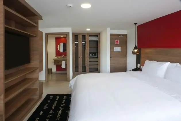 Premium Oda, 1 En Büyük (King) Boy Yatak, Sigara İçilmez