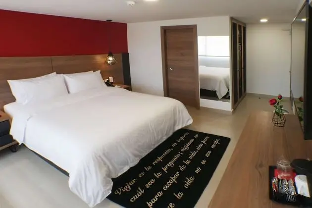 Premium Oda, 1 En Büyük (King) Boy Yatak, Sigara İçilmez