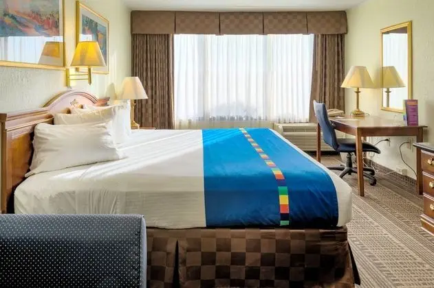 Premium Oda, 1 En Büyük (King) Boy Yatak, Sigara İçilmez