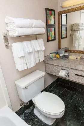 Süit, 1 En Büyük (King) Boy Yatak, Sigara İçilmez, Sıcak Su Küveti