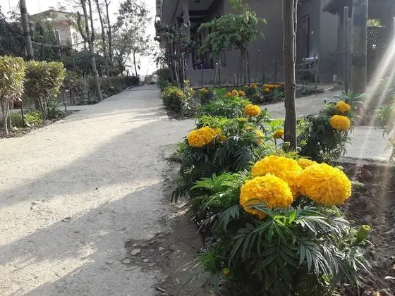 Standard Tek Büyük veya İki Ayrı Yataklı Oda, 2 Yatak Odası