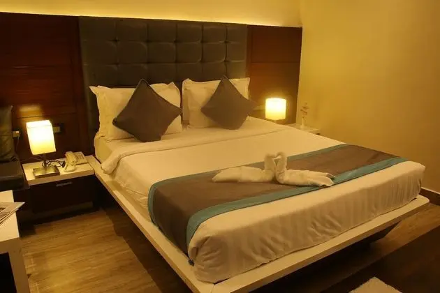 Superior Tek Büyük Yataklı Oda, 1 En Büyük (King) Boy Yatak, Şehir Manzaralı