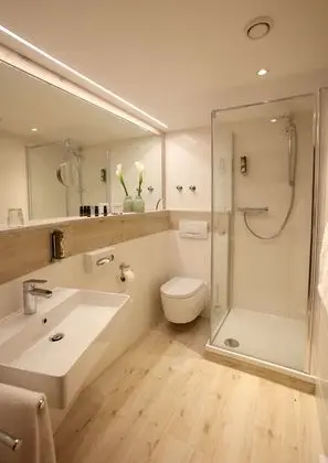 Comfort Tek Büyük Yataklı Oda, Park Manzaralı