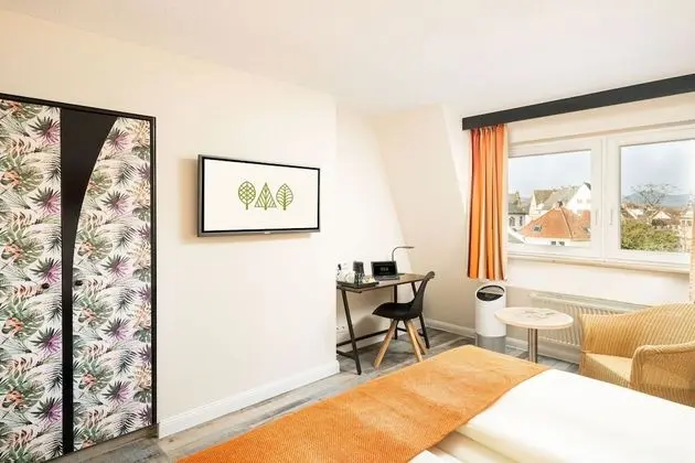 Superior Tek Büyük Yataklı Oda (Park)