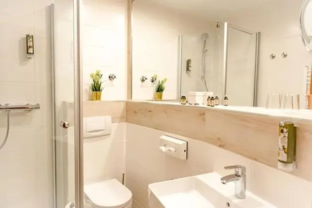 Superior Tek Büyük Yataklı Oda (Park)