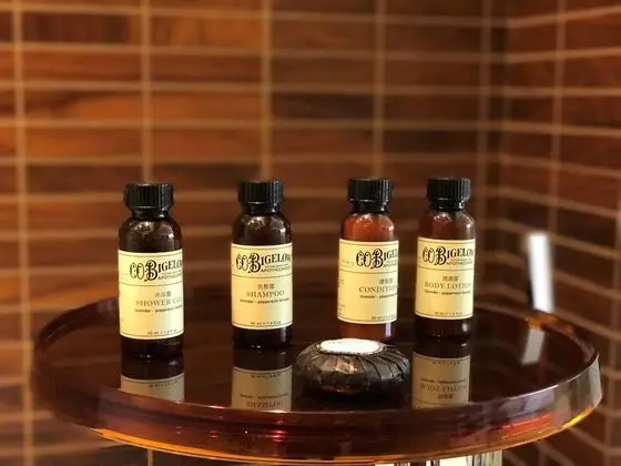 Deluxe Oda, 2 Tek Kişilik Yatak, Şehir Manzaralı