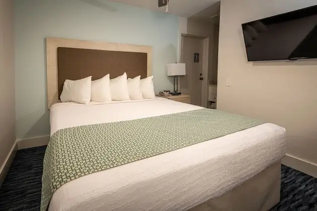 Çatı Katı (Loft) (Caifornia King - Not Pet Friendly)