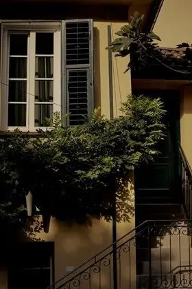 Design Stüdyo Süit, 1 En Büyük (King) Boy Yatak, Bahçeli