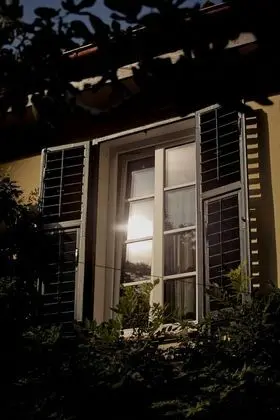 Design Stüdyo Süit, 1 En Büyük (King) Boy Yatak, Bahçeli