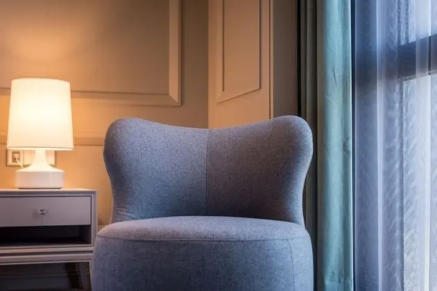 Superior Tek Büyük Yataklı Oda (V Room)