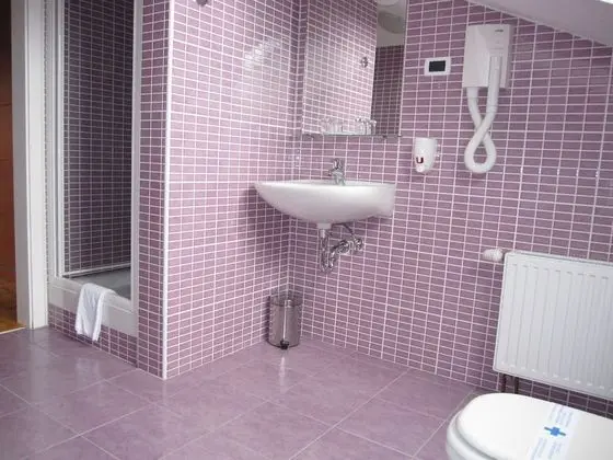 Tek Büyük Yataklı Oda (Attic)
