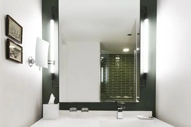 Oda (Park Accessible King Roll-in Shower)