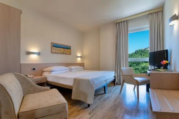 Standard Tek Büyük veya İki Ayrı Yataklı Oda, Tepe Manzaralı