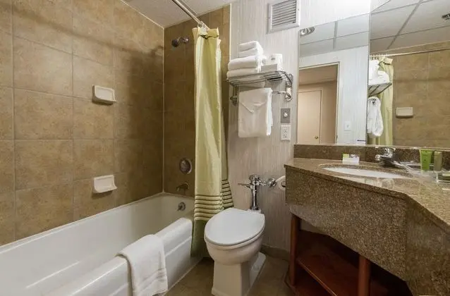 Standard Oda, 2 Büyük (Queen) Boy Yatak, Şehir Manzaralı