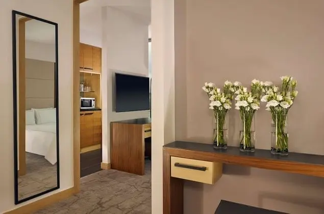 Executive Oda, 1 Çift Kişilik Yatak, Şehir Manzaralı (Studio)