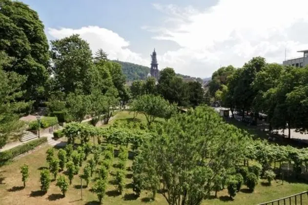 Tek Büyük Yataklı Oda, Park Manzaralı