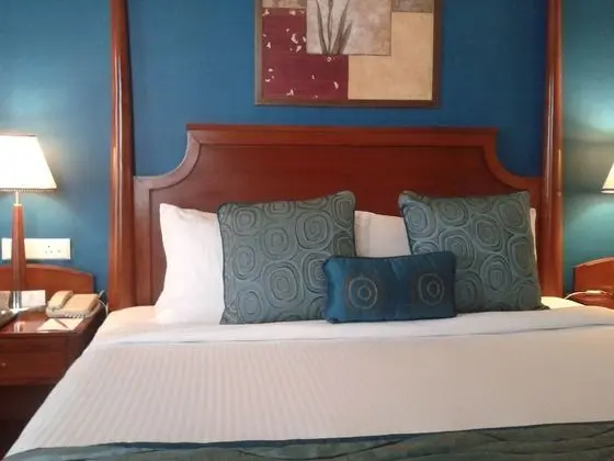 Deluxe Tek Büyük veya İki Ayrı Yataklı Oda, 3 Tek Kişilik Yatak