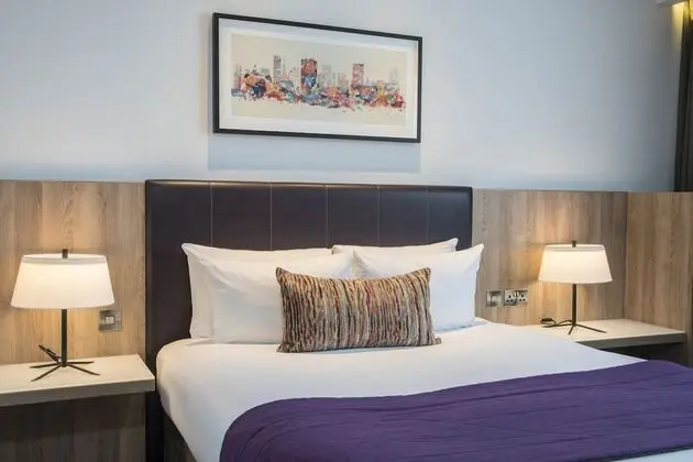 Deluxe Tek Büyük Yataklı Oda, Şehir Manzaralı