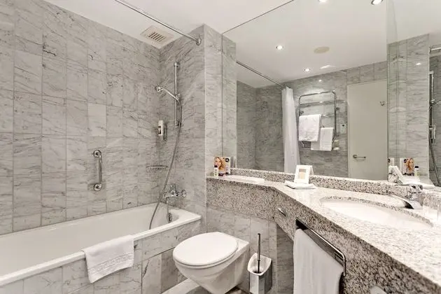 Premium Tek Büyük Yataklı Oda, Park Manzaralı