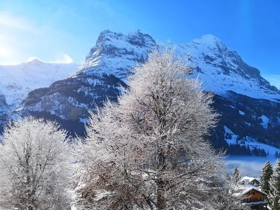 Superior İki Ayrı Yataklı Oda, Balkon, Dağ Manzaralı