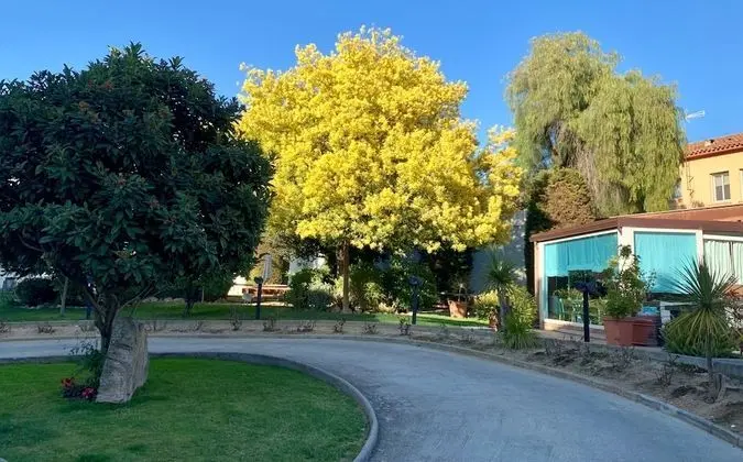 Standard Tek Büyük veya İki Ayrı Yataklı Oda