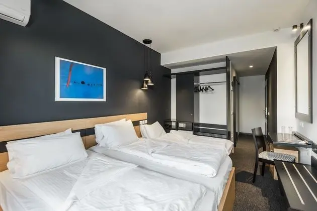 Superior Tek Büyük veya İki Ayrı Yataklı Oda, Şehir Manzaralı