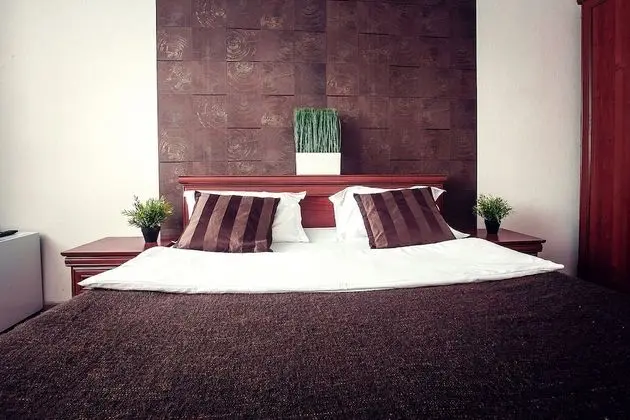 Standard Tek Büyük Yataklı Oda, 1 Yatak Odası, Park Manzaralı