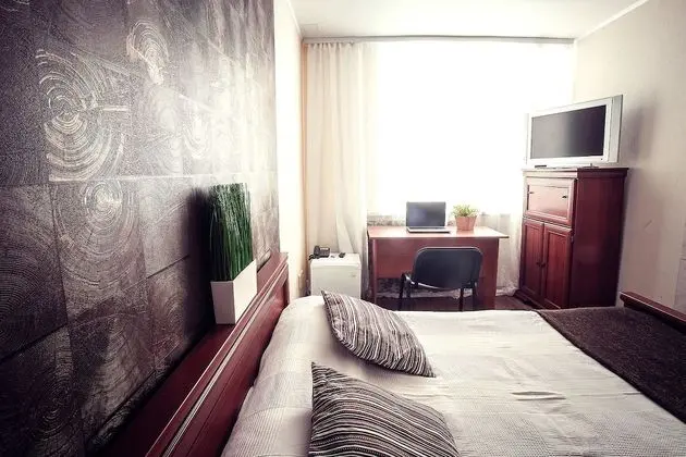 Standard Tek Büyük Yataklı Oda, 1 Yatak Odası, Park Manzaralı