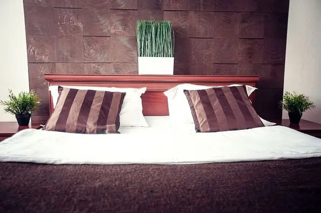 Standard Tek Büyük Yataklı Oda, 1 Yatak Odası, Park Manzaralı