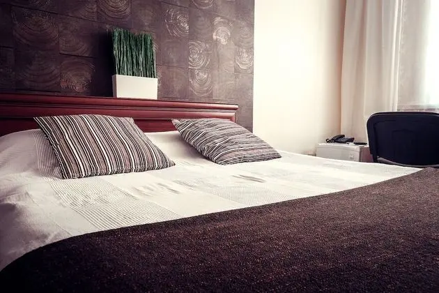 Standard Tek Büyük Yataklı Oda, 1 Yatak Odası, Park Manzaralı