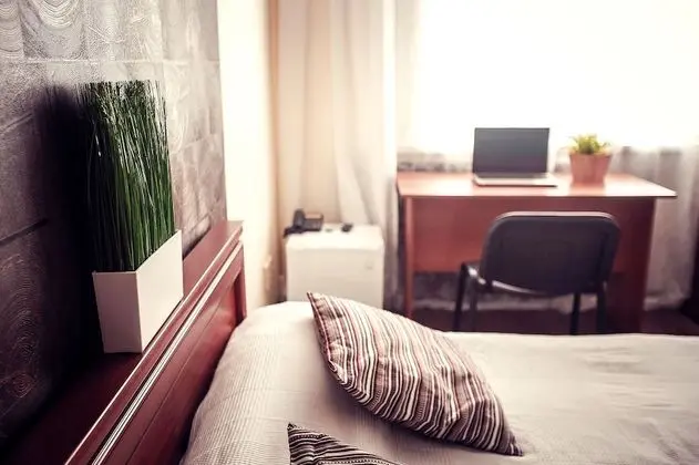 Standard Tek Büyük Yataklı Oda, 1 Yatak Odası, Park Manzaralı