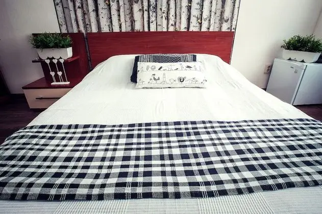 Standard Tek Büyük Yataklı Oda, 1 Yatak Odası, Park Manzaralı