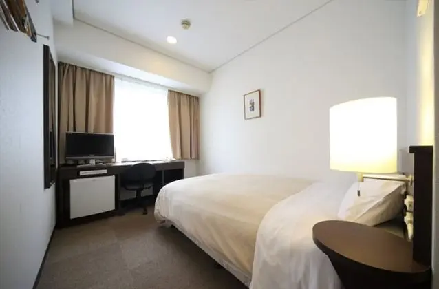 Economy Tek Büyük Yataklı Oda, Sigara İçilmez (One Bed Only)