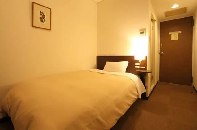 Economy Tek Büyük Yataklı Oda, Sigara İçilmez (One Bed Only)