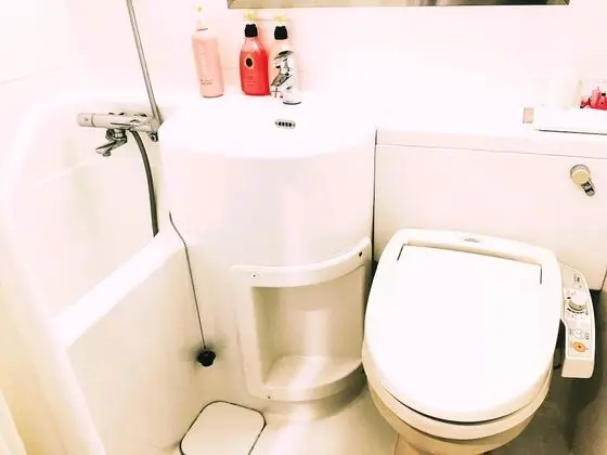 Economy Tek Büyük Yataklı Oda, Sigara İçilmez (One Bed Only)