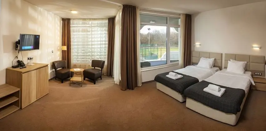 Deluxe Tek Büyük Yataklı Oda, Balkon (City or Mountain View)