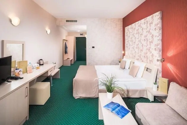 Standard Tek Büyük veya İki Ayrı Yataklı Oda (City or Mountain View)