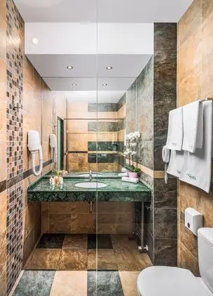 Standard Tek Büyük veya İki Ayrı Yataklı Oda (City or Mountain View)