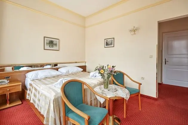 Comfort Tek Büyük Yataklı Oda (Balneo Treatment Package)