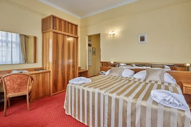 Comfort Tek Büyük Yataklı Oda (Balneo Treatment Package)